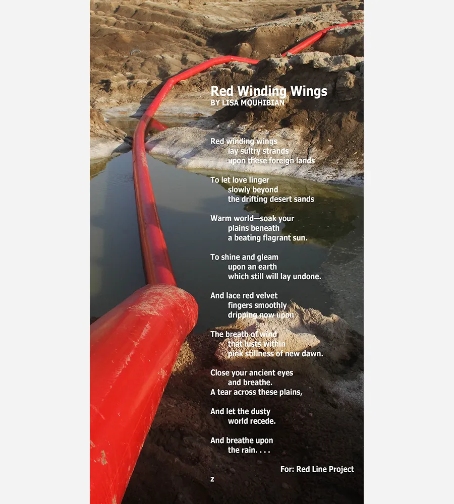 Lisa's Poem