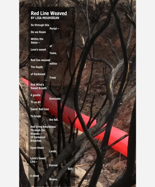 Lisa's Poem