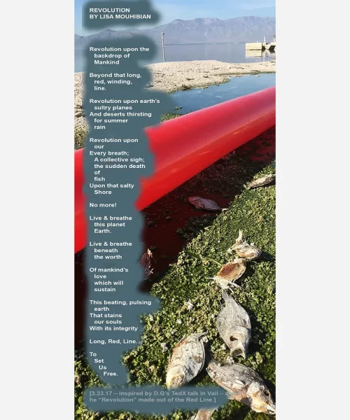Lisa's Poem